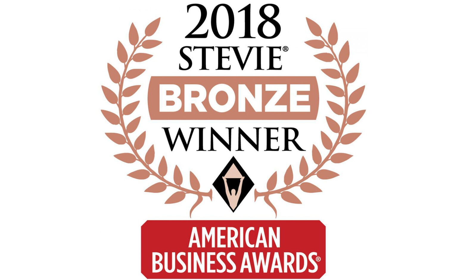 V Digital Services is a Winner in the American Business Awards