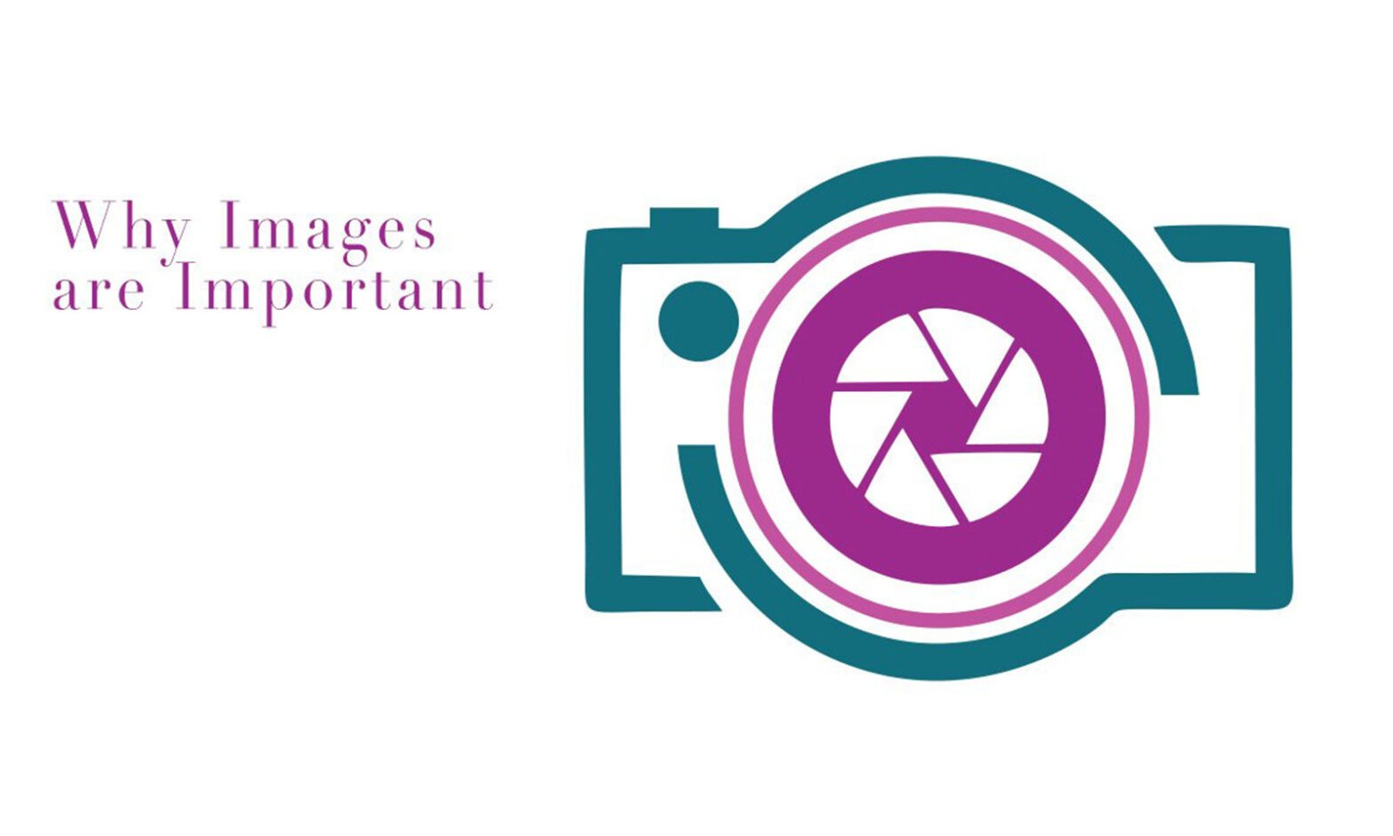 Images are as Important as Words on Your Website