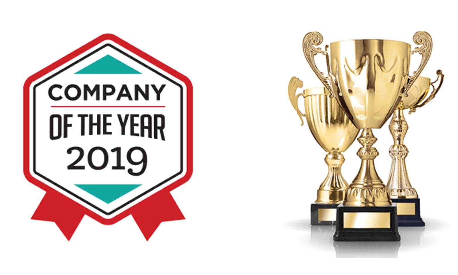 Featured image for post: V DIGITAL SERVICES NAMED COMPANY OF THE YEAR IN THE BIG AWARDS FOR BUSINESS