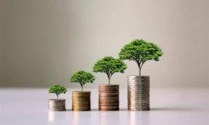 Sustainable Digital Practices: Green SEO and Marketing